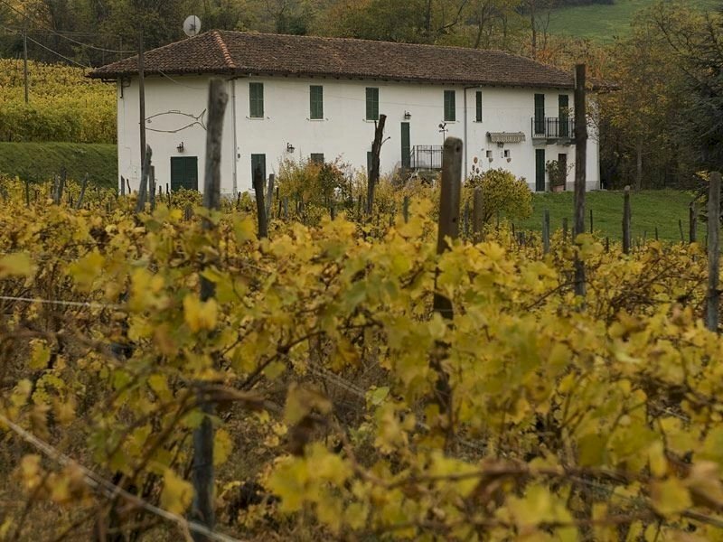 Farmhouse Santo Stefano Belbo - photo 3