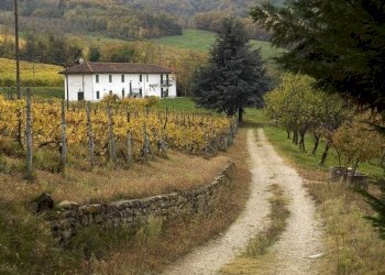 Cascina Santo Stefano Belbo - foto 2