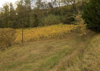 Cascina Santo Stefano Belbo - foto 17
