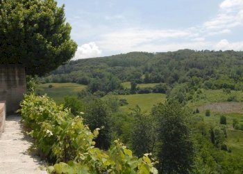 Casa indipendente San Benedetto Belbo - foto 18