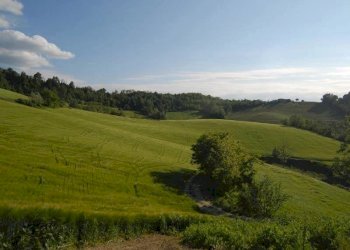 Casale Dogliani - photo 13