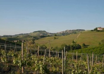 Casale Dogliani - photo 14