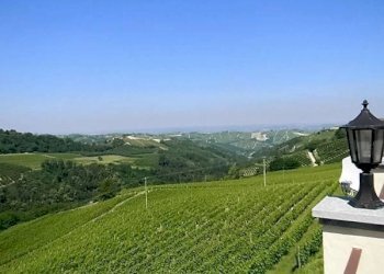 Independent house Mango - photo 5