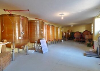 Villa Grana Monferrato - foto 17