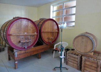 Villa Grana Monferrato - foto 19