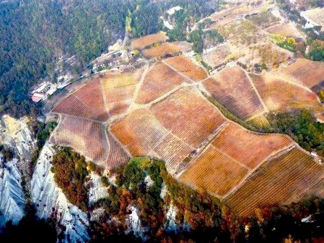 Azienda agricola Serole - foto 2