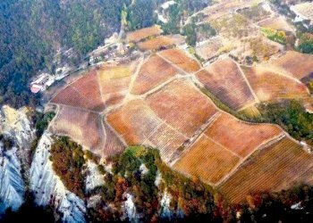 Azienda agricola Serole - foto 2