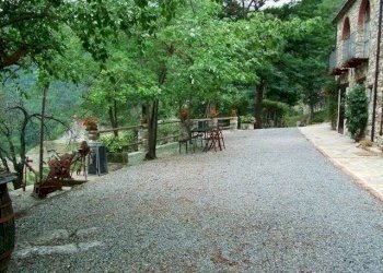 Azienda agricola Serole - foto 4