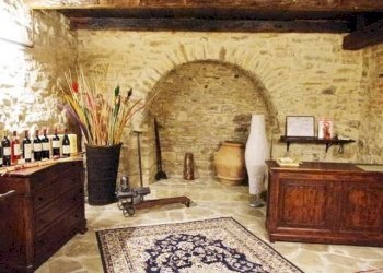 Azienda agricola Serole - foto 8