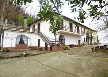 Azienda agricola Serole - foto 10