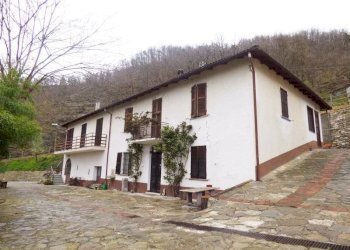 Azienda agricola Serole - foto 12