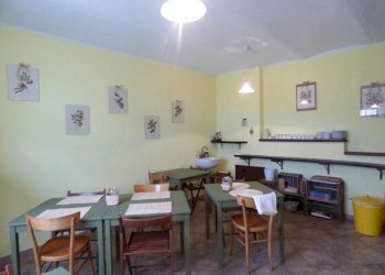 Azienda agricola Serole - foto 15