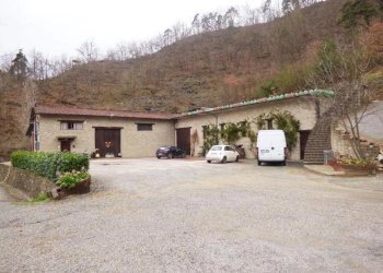 Azienda agricola Serole - foto 17