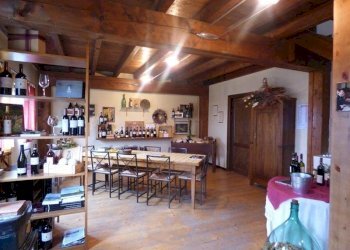 Azienda agricola Serole - foto 18