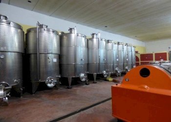 Azienda agricola Serole - foto 19