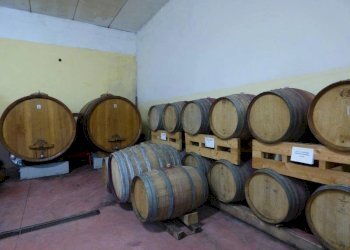 Azienda agricola Serole - foto 20