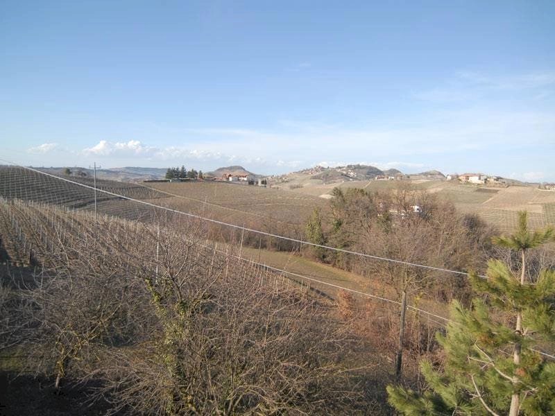 Casale Dogliani - foto 3