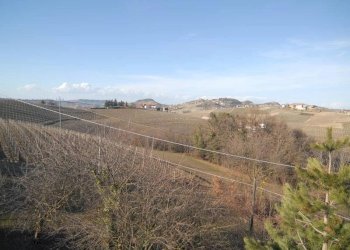 Casale Dogliani - photo 3