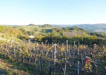 Casale Ceva - photo 20