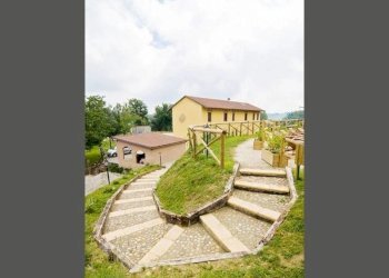 Azienda agricola Sommariva Perno - foto 3