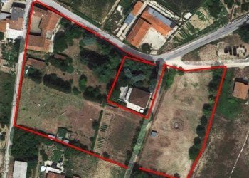 Casale Clavesana - photo 22