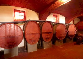 Casale Clavesana - photo 36