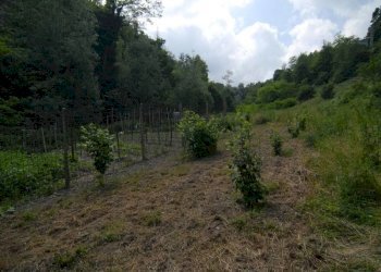 Casale Dogliani - photo 25