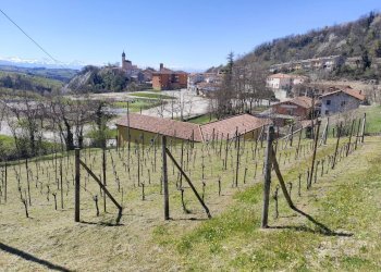 Villa Somano - foto 55