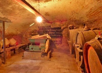 Villa Cherasco - foto 13