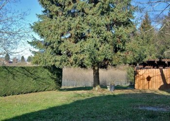 Casale Bossolasco - foto 11