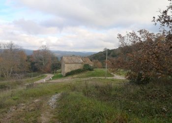 Casale Grosseto - foto 5