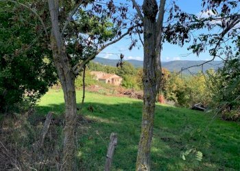 Casale Grosseto - foto 8