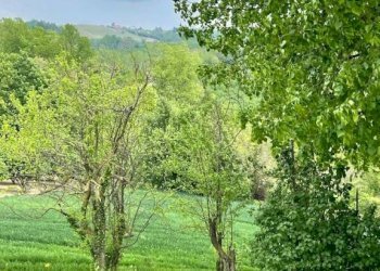 Terreno - Independent house Località San Bartolomeo 62, Cherasco - photo 7