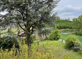 Terreno - Independent house Località San Bartolomeo 62, Cherasco - photo 8