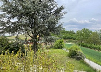 Vista - Casa indipendente Località San Bartolomeo 62, Cherasco - foto 9