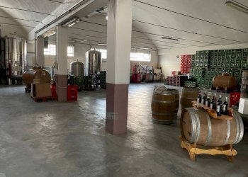 2d61e1da 1f85 487a a217 cccbab8f5005 - Capannone via martiri, Narzole - foto 2