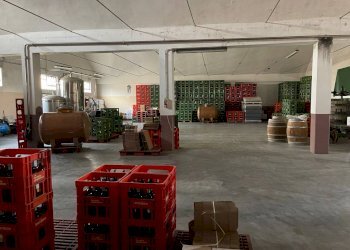 37f99288 146c 4dba b4e1 6044c52ed351 - Capannone via martiri, Narzole - foto 3