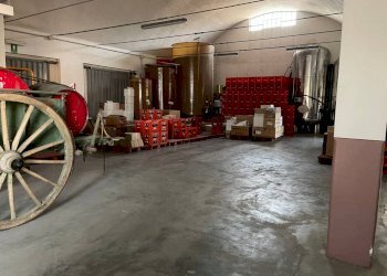 0dc80e2c ffd0 45ab aa8c 8643f51d8344 - Capannone via martiri, Narzole - foto 4