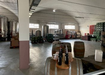 57b82aff 2bc5 4aba 9de6 14f1559a11b9 - Capannone via martiri, Narzole - foto 5