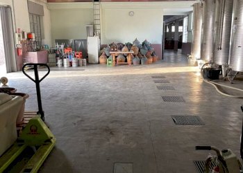 a3e52a8f d01a 40e5 9b5c e7ff1c758ac6 - Capannone via martiri, Narzole - foto 6