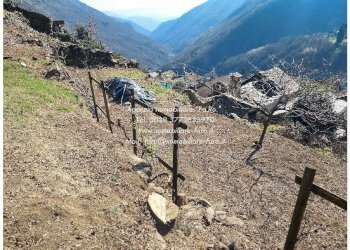 Terreno - Rustic via Roma, Valle Cannobina - photo 8
