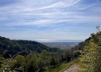 Viste - Independent house via Vitoio, Pietrasanta - photo 14