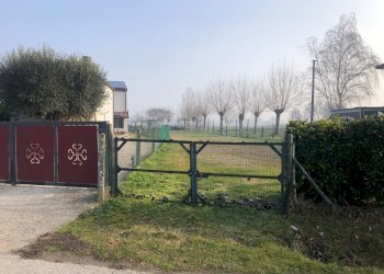 IMG_3824.jpg - Terreno edificabile via Murello 13, Ospedaletto Euganeo - foto 1