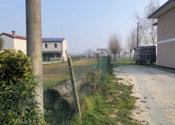 IMG_3823.jpg - Terreno edificabile via Murello 13, Ospedaletto Euganeo - foto 2