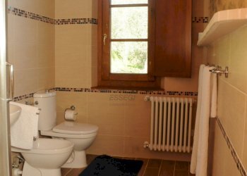 agriturismo ristrutturato (83).JPG - Casale Strada Senza Nome 5, Pescia - foto 22