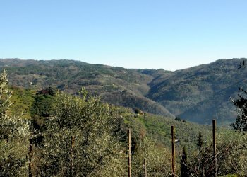 agriturismo ristrutturato (111).JPG - Casale Strada Senza Nome 5, Pescia - foto 29