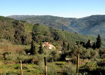 agriturismo ristrutturato (113).JPG - Casale Strada Senza Nome 5, Pescia - foto 30