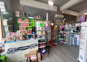 IMMAGINE04-ink.jpeg - Tabaccheria Budrio - foto 4