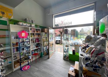 IMMAGINE08-ink.jpeg - Tabaccheria Budrio - foto 8