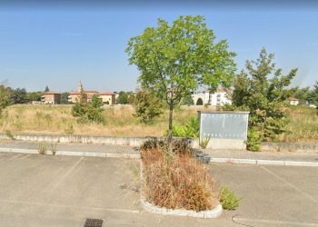 Terreno edificabile Dozza - foto 6